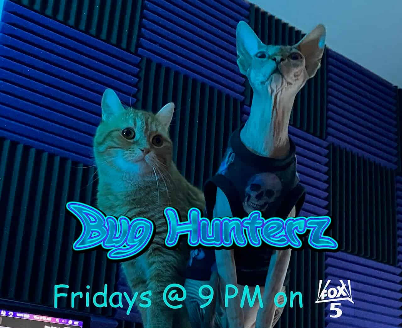 strudel - IMG_0925.jpeg