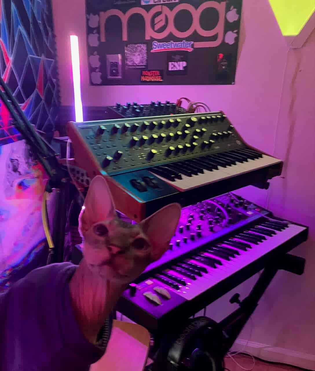 strudel - IMG_1847.jpeg